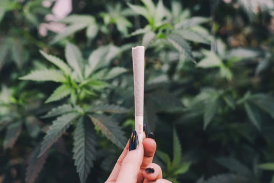 What is a Hash Hole? A Practical Guide