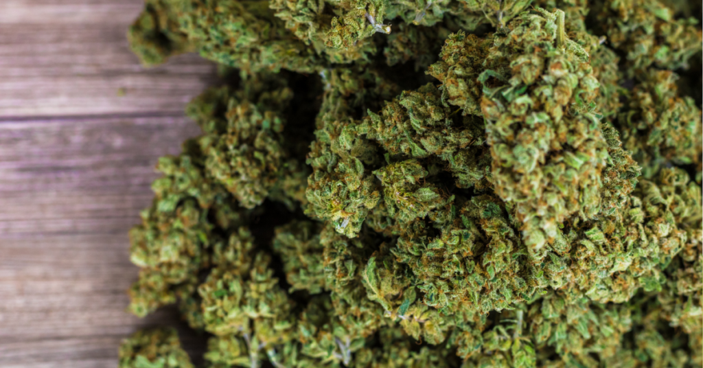 CBD Gummies vs. CBD Oil: What’s the Difference in Form and Format?