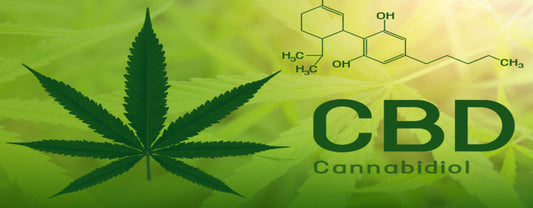 How Long Does CBD Stay In Your System | Delta 8 Resellers