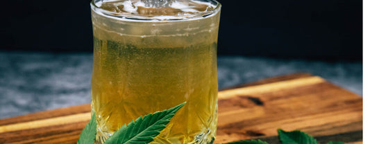 Drinking THC: What You Need to Know