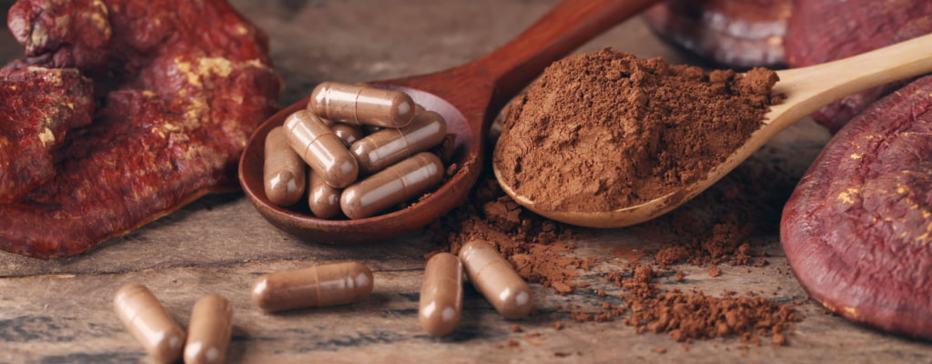 Can You Take Too Many Mushroom Supplements? A Guide
