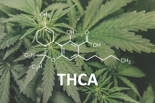What is THCA Flower? A Unique Cannabinoid Explained