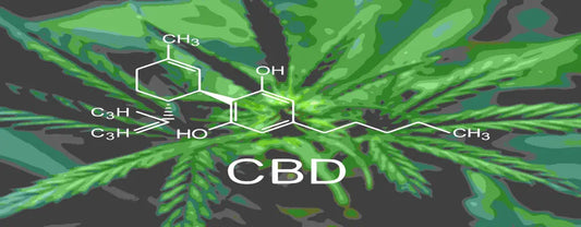 Does CBD Make You Hungry? Yes, No, and Maybe