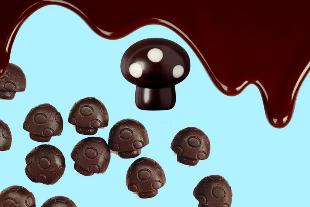 What Happens if I Take a Shroom Chocolate Bar?