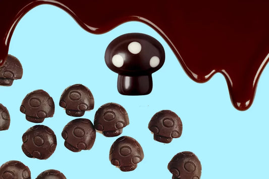 What Happens if I Take a Shroom Chocolate Bar?