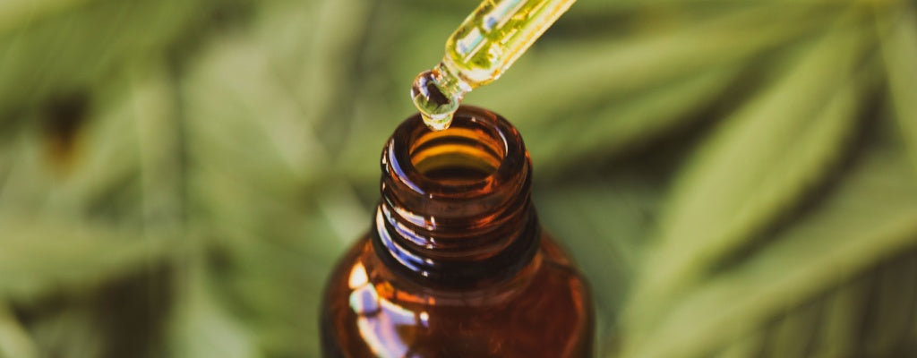 CBD Oil vs. Gummies: What’s The Difference?