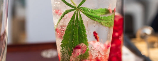 How Long Do THC-Infused Drinks Last?