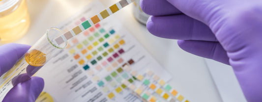 Does Delta 11 Show Up On Drug Tests? A Guide
