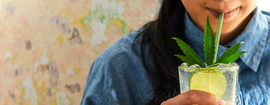What is THC Seltzer? Your Questions Answered