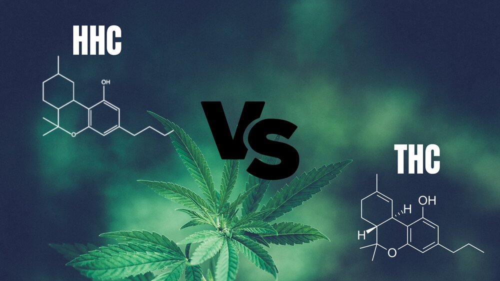 Is HHC Flower Stronger than THC Flower?