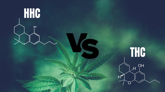 Is HHC Flower Stronger than THC Flower?