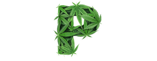 What is THC-P? A Practical Guide