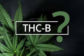 What Is THC-B?