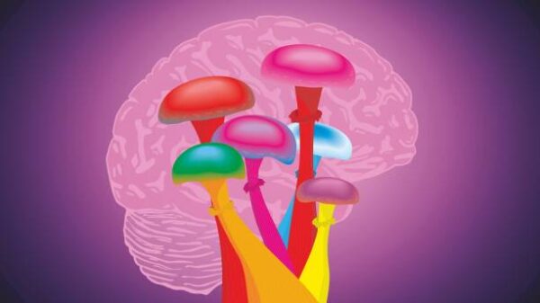 Mushroom Gummy Benefits