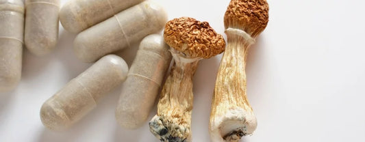 Microdosing Mushroom Capsules for Mind Clarity