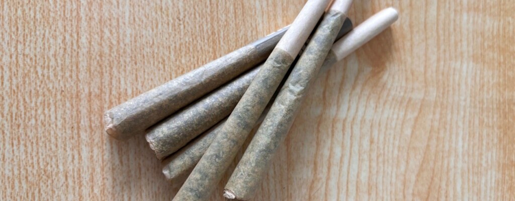 The Best Delta 8 Pre-Rolls for First-Time Users