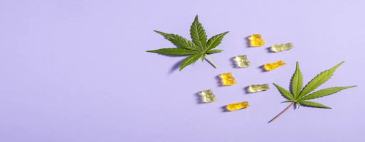 Delta 8 Gummies For Pain: Can They Help?