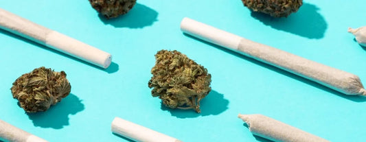 Are THCa Pre-Rolls Safe?