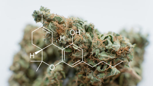 What Happens When You Infuse THC-P To Delta 9?