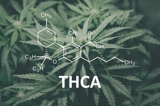 What’s The Difference Between THC and THCA? A Guide