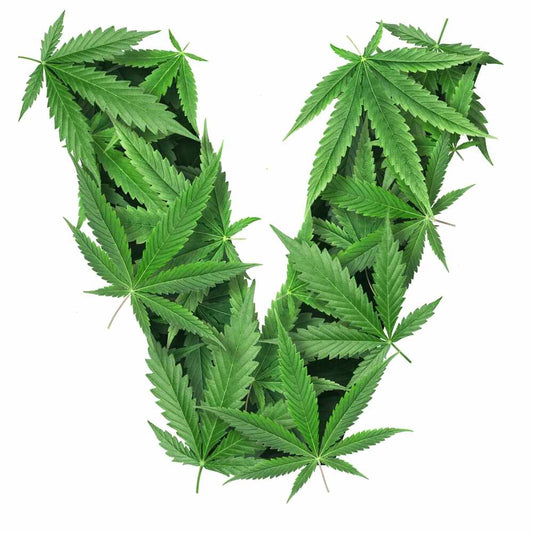 What is THC-V? A Guide