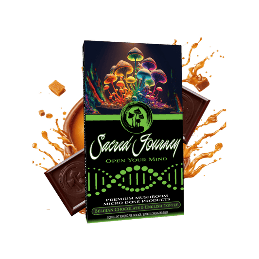 SACRED JOURNEY MUSHROOM CHOCOLATE BAR