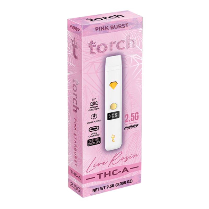 torches disposable​ - torch 2.5 gram disposable​