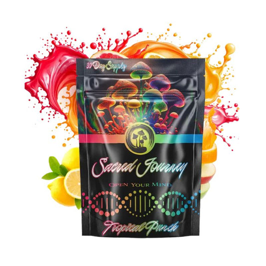 mushroom gummies for focus